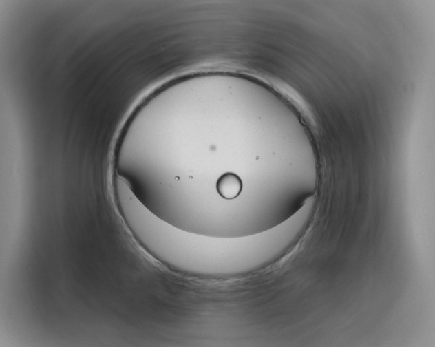 X0000115091288200911241206