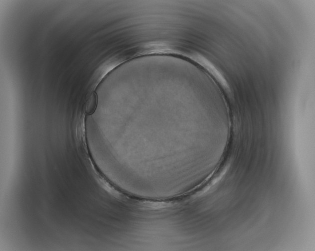 X0000115091289200911241206