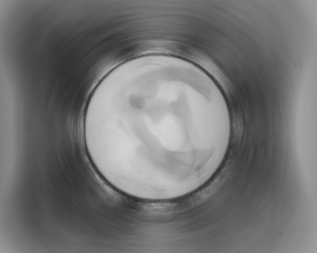 X0000115091290200911241206