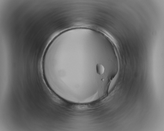X0000115091291200911241206