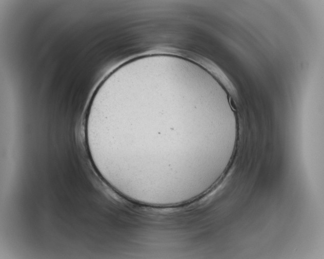 X0000115091292200911241206