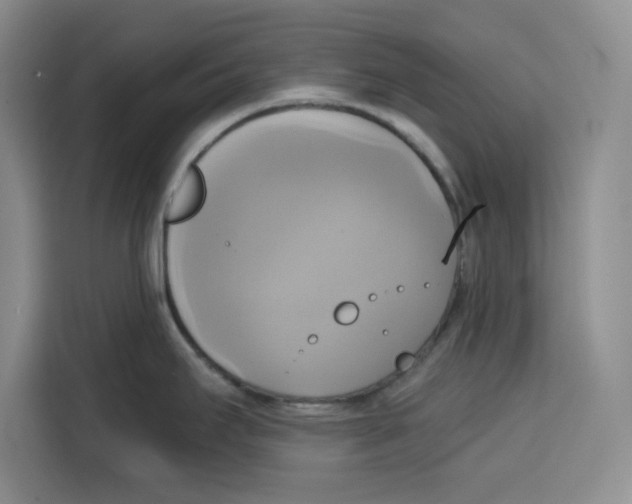 X0000115091295200911241206