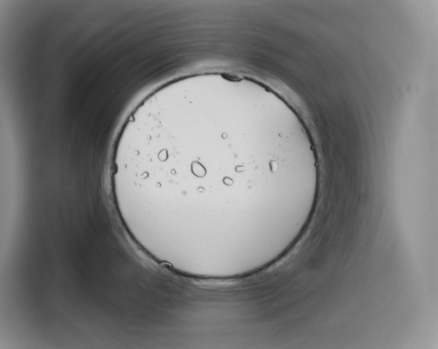 X0000115091296200911241206