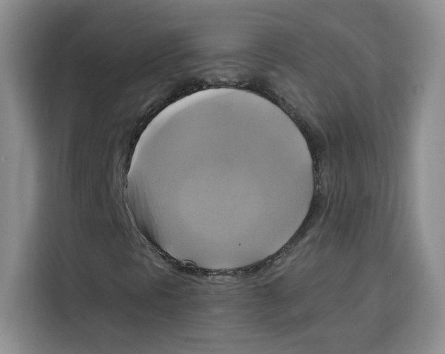 X0000115091297200911241205