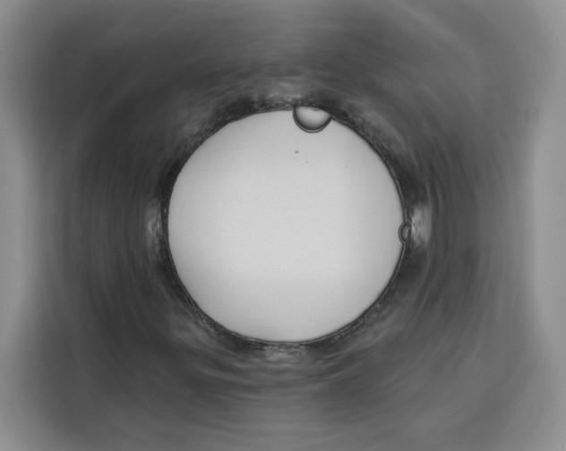 X0000115091299200911241205