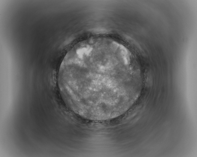 X0000115091301200911241205