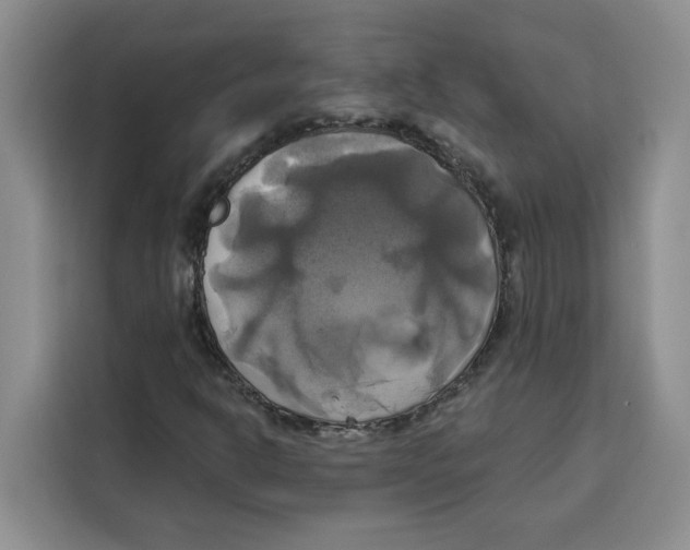 X0000115091302200911241205