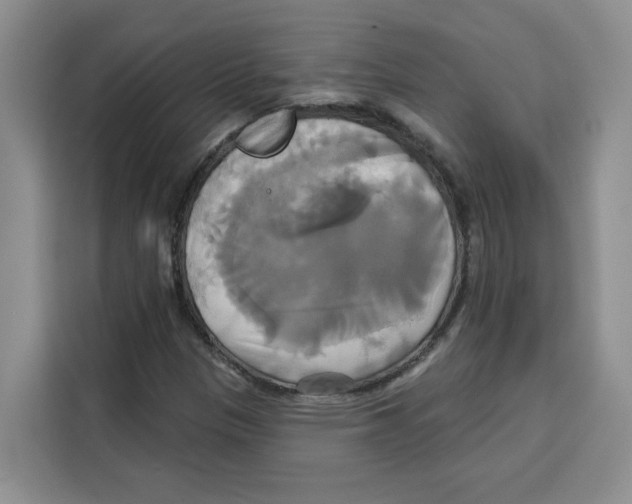 X0000115091305200911241205