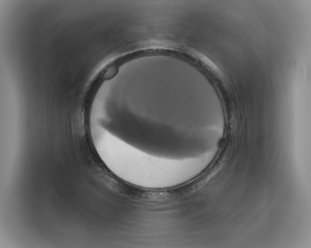 X0000115091310200911241205