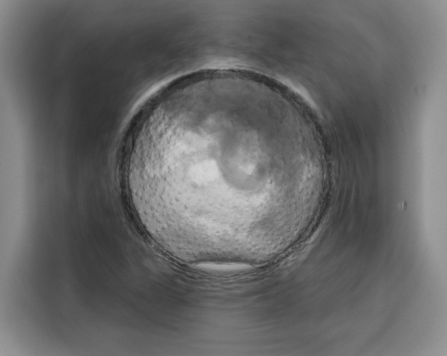 X0000115091311200911241205