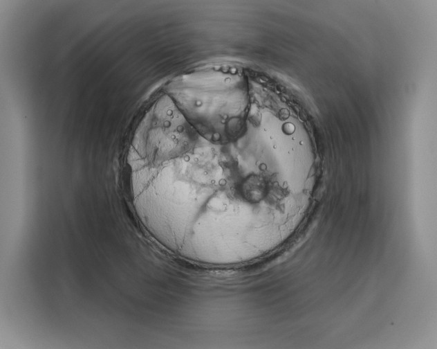 X0000115091313200911241205
