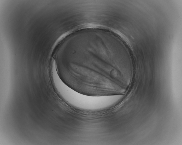 X0000115091314200911241205