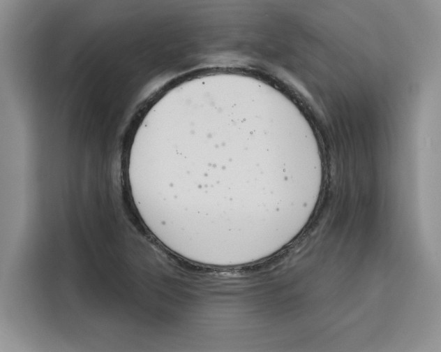X0000115091315200911241205