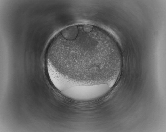 X0000115091318200911241205