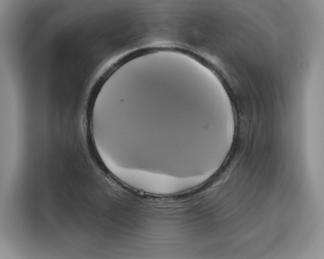 X0000115091319200911241205