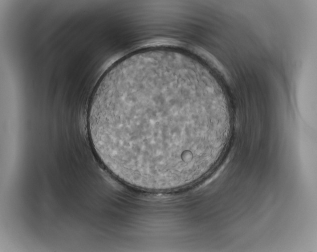 X0000115091321200911241205
