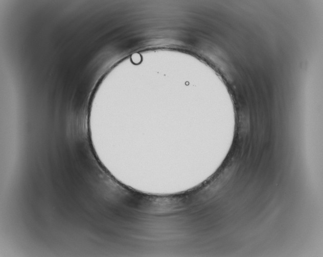 X0000115091322200911241205