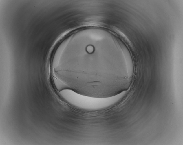 X0000115091323200911241205