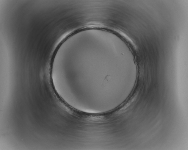 X0000115091325200911241205