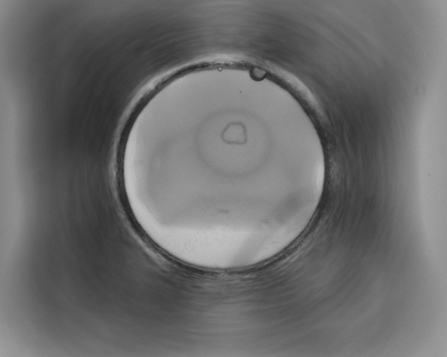 X0000115091327200911241205