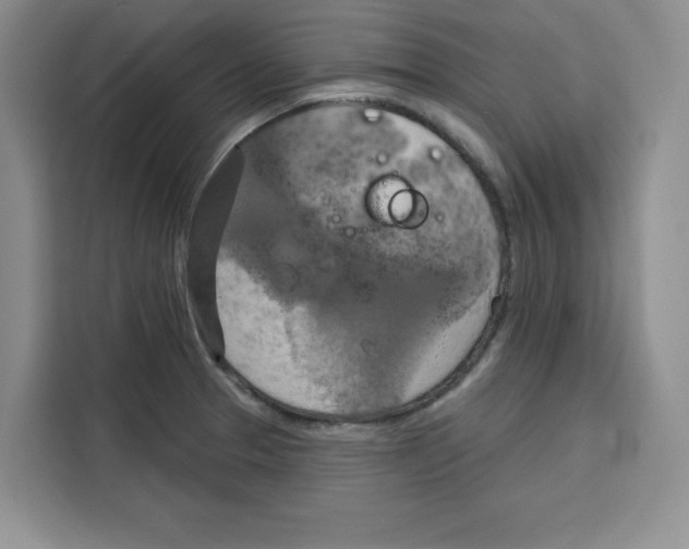 X0000115091329200911241206