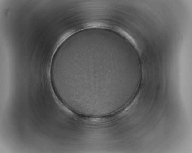 X0000115091330200911241206