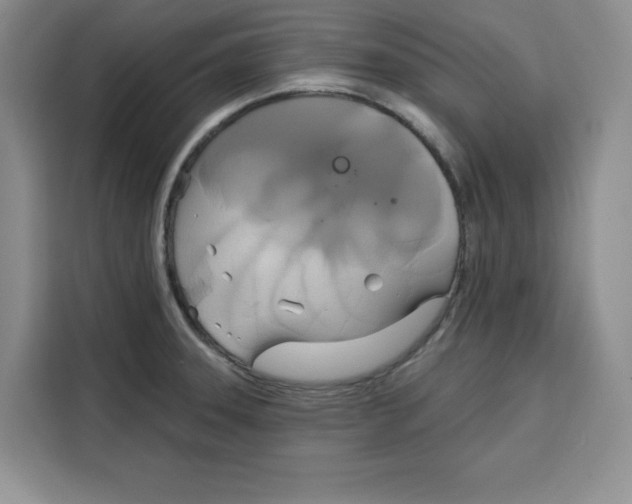 X0000115091331200911241206