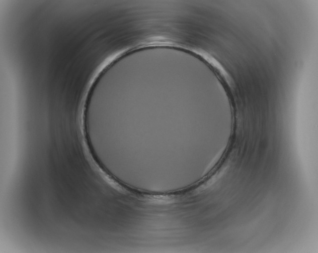 X0000115091333200911241206