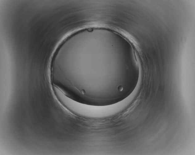 X0000115091334200911241206