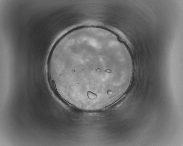X0000115091335200911241206