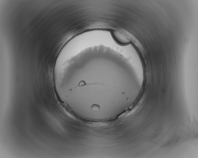 X0000115091337200911241206
