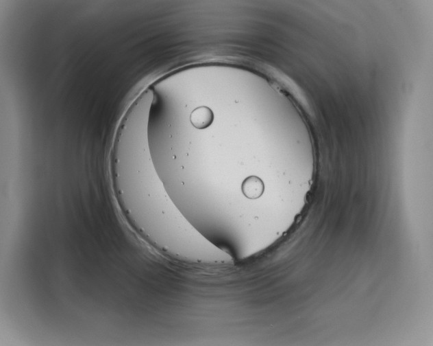 X0000115091338200911241206