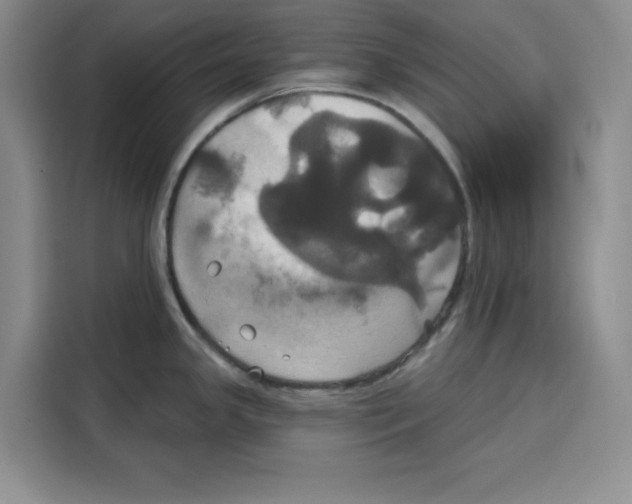 X0000115091341200911241206