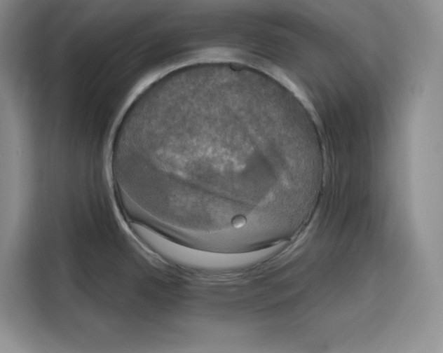 X0000115091342200911241206