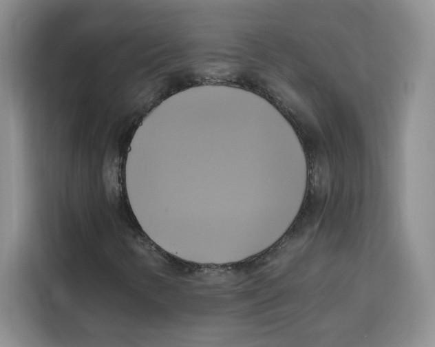 X0000115091346200911241205