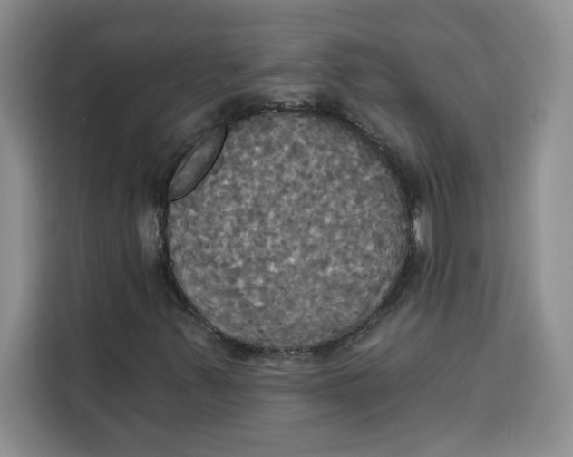X0000115091347200911241205