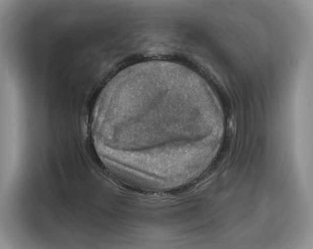 X0000115091348200911241205