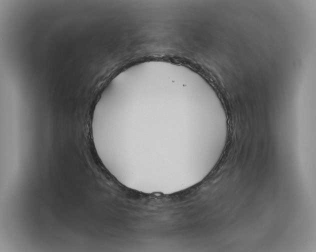 X0000115091349200911241205