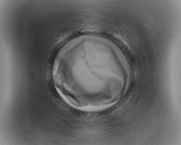X0000115091350200911241205