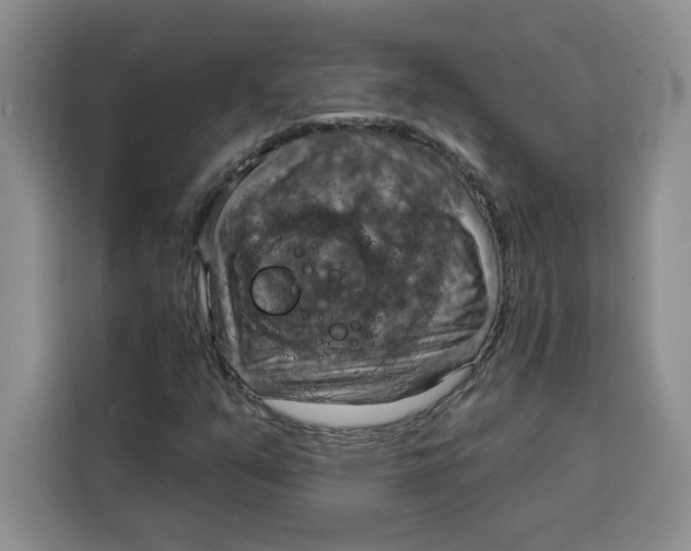 X0000115091351200911241205