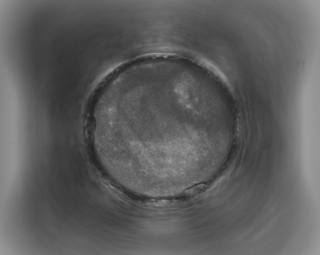 X0000115091352200911241205