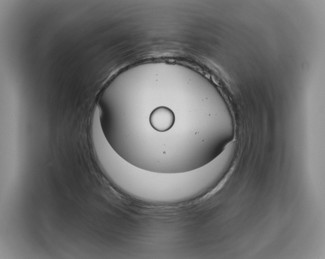 X0000115091353200911241205