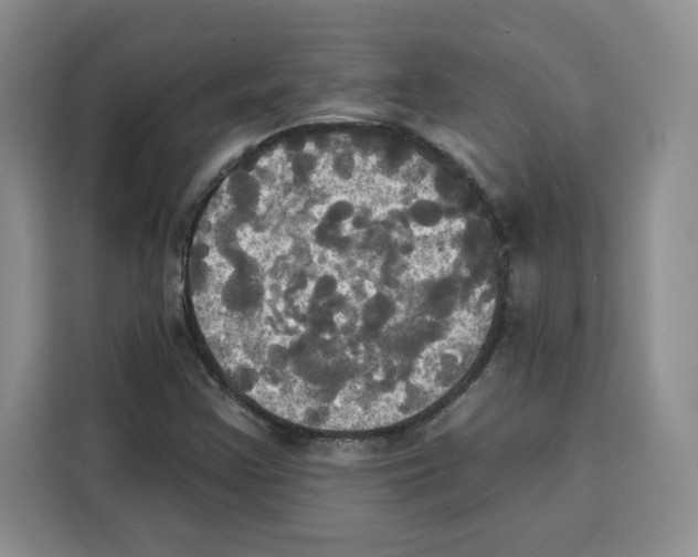 X0000115091355200911241205