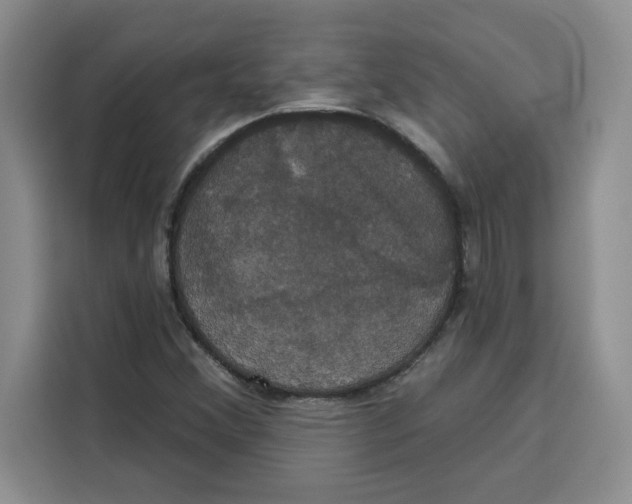X0000115091356200911241205