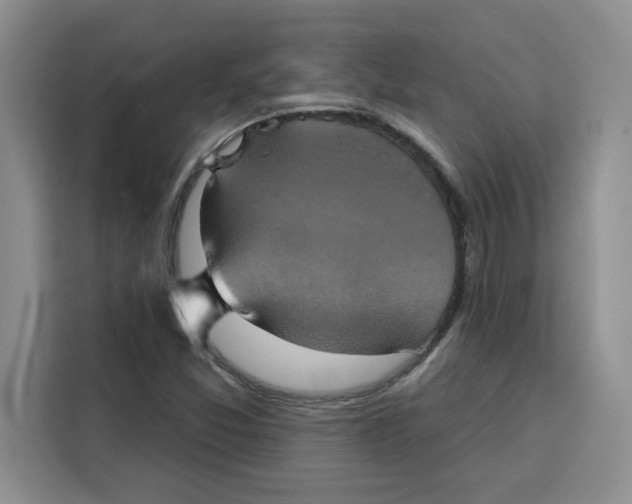 X0000115091357200911241205