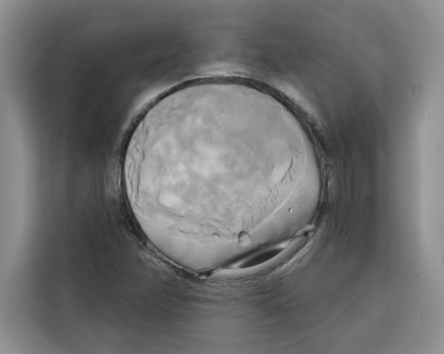 X0000115091358200911241205