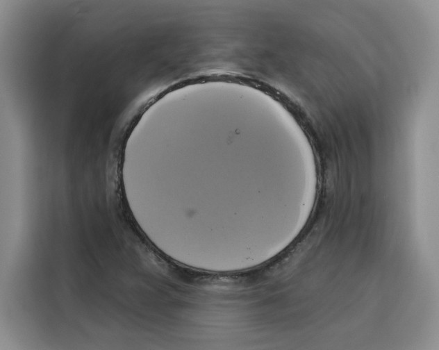X0000115091359200911241205