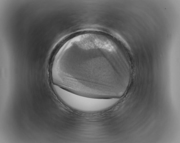 X0000115091360200911241205