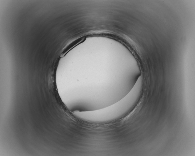 X0000115091361200911241205