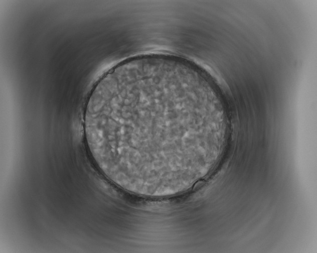 X0000115091363200911241205